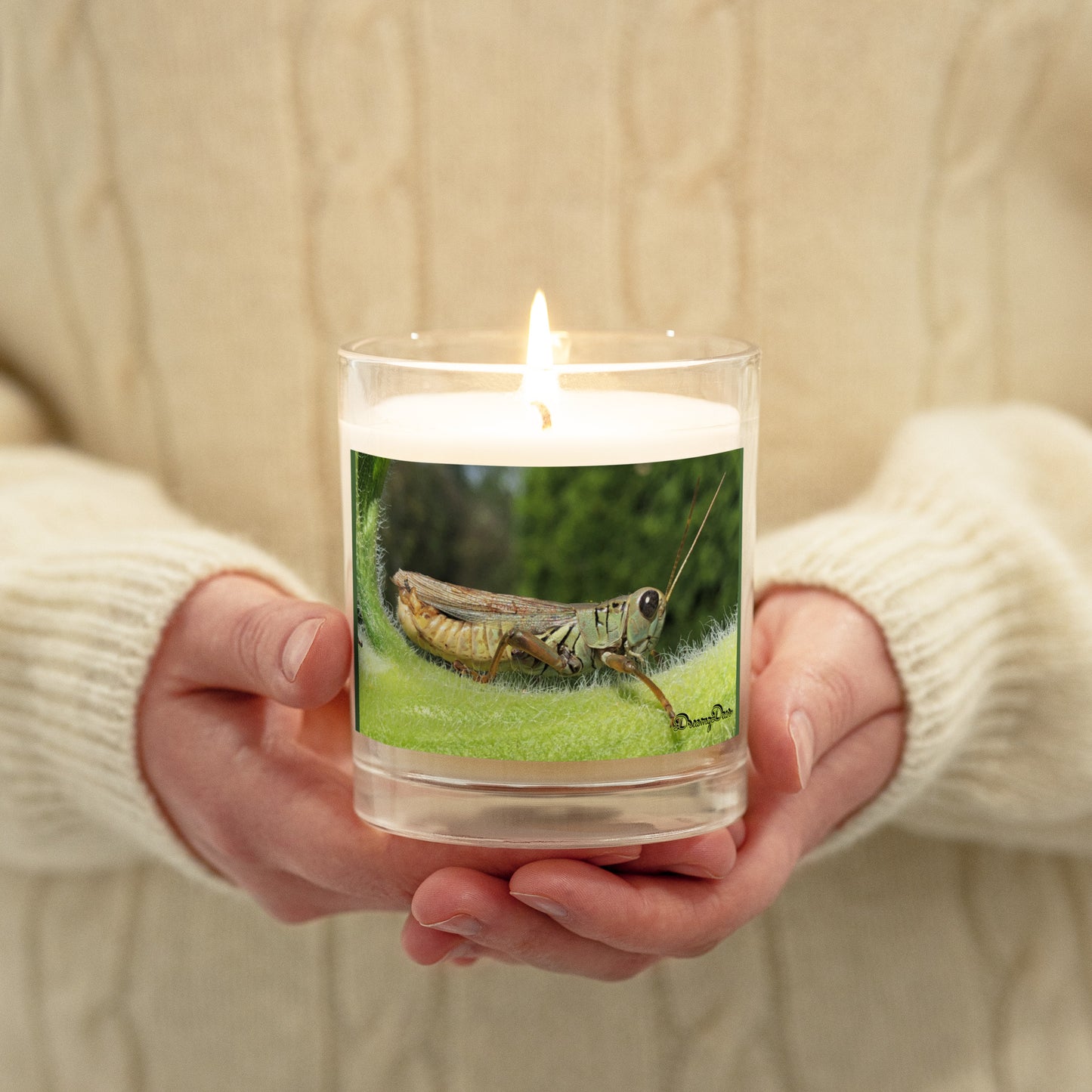 Dreamy Dear Glass jar soy wax candle, Riding the Sunflower